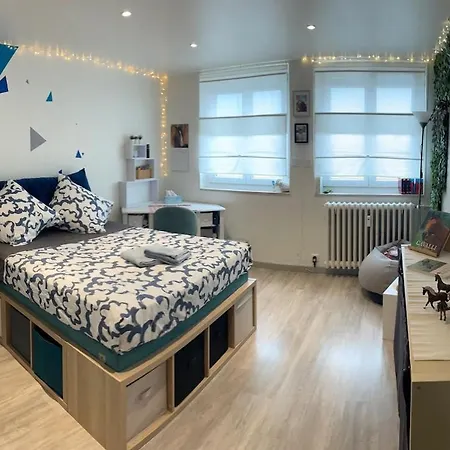 Apartman Le Coeur De - Parking & Clim Colmar