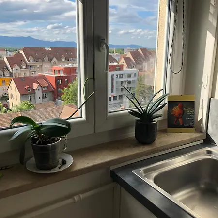 Lägenhet Le Coeur De - Parking & Clim