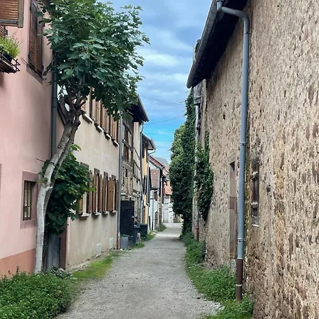 Le Coeur De - Parking & Clim Lägenhet Colmar